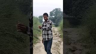 एक दिन खातिर बन जात सोनार मोर बलमू वा Changingsong Bushpurimustsong Vidalbushforia Manoeuvre [upl. by Jarrow]