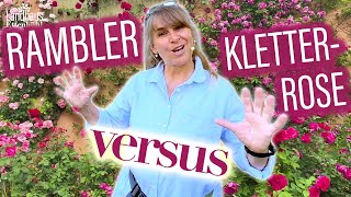 Ramblerrose VS Kletterrose    Erfahren Sie WELCHE Rose SCHÖNER wirkt  RückschnittTiPPs [upl. by Edrea676]