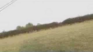 Ultralight Barnstorming Hampshire UK [upl. by Elleinnod600]