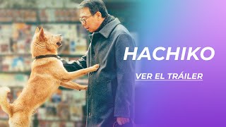 HACHIKO  TRÁILER [upl. by Sigrid]