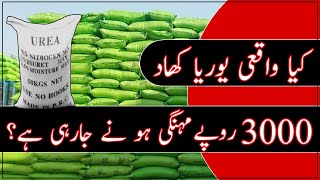 urea fertilizer applicationurea price in pakistanurea price today [upl. by Skipper]