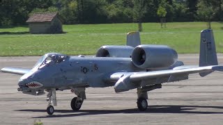 FABULOUS RC SCALE TURBINE JET MODEL WARTHOG A10 [upl. by Charissa]