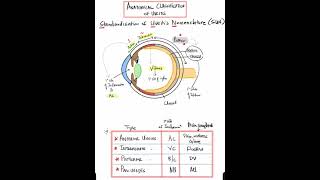 Anatomical Classification of Uveitis Shorts [upl. by Divadleahcim]