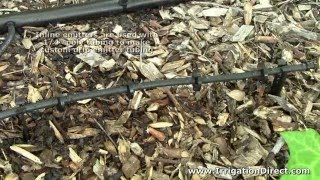 Drip Irrigation Inline Drip Emitters ILE10 [upl. by Atsirtal]