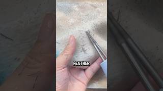 Efficient Electric Poultry Feather Plucker A StepbyStep Guide😅😅 wildanimalfacts facts [upl. by Enelrae]