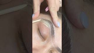 Satisfying Eyebrow Waxing Tutorial [upl. by Chere]