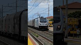 Treno merci con locomotiva E494 RailpoolCaptrain Shorts N°76 [upl. by Halyhs]