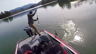 8 Pounder Destroys Deps 175 Plus Much Much More [upl. by Yenaffit]