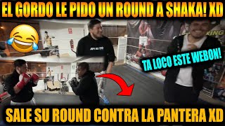 😱KINGTEKA MOMENTS CLIPSTEKA RETA A SHAKA A UN ROUND Y SALE LA PANTERA A BOXEARLO XD [upl. by Hnaht347]