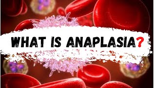 What is Anaplasia  Anaplasia [upl. by Dedie]