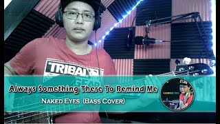 Naked Eyes  Always Something There To Remind Me Bass Cover [upl. by Lerim]