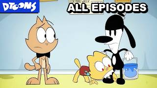 Conroy Cat Compilation  ALL EPISODES [upl. by Dyoll]