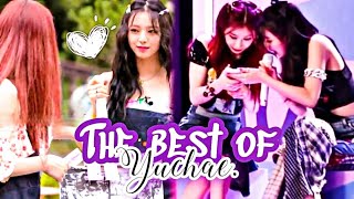 유채꽃 The Best Of Yuchae 2021 moments Shin Yuna and Lee Chaeryeong🌙 [upl. by Filomena699]