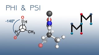 Understanding PHI and PSI Angles Ramachandran Plots amp Newman Projections [upl. by Ahsiuq]