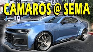 Camaros of SEMA 2017 IROCZ Stress CornfedCamaro GM Reveals amp More… [upl. by Acisseg]