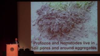 Paul Wagner Understanding Soil Biology The Trophic Levels [upl. by Hart]