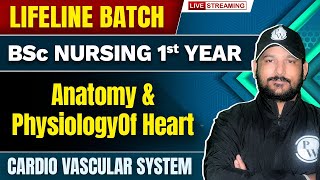 Anatomy amp Physiology Of Heart  Cardio Vascular System  BSc Nursing 1st Year  Lifeline Batch [upl. by Lalita]