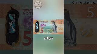 Conoce el billete de 5 dólares de Nueva Zelanda del 2015 shorts [upl. by Aniram]