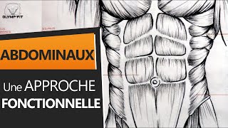 Abdominaux  Anatomie et Entraînement une approche fonctionnelle [upl. by Evangelin]