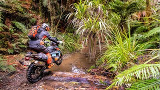 KTM Kriega Extreme Adventure  A Long Way for Bush Coffee [upl. by Olraced]