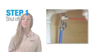 How to Sanitize a Reverse Osmosis RO System with SaniSystem [upl. by Paloma]