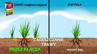 Substraljak działa trawa SAMOzagęszczajaca [upl. by Serafine862]