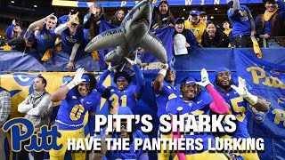 Pitts Sharks Have The Panthers Lurking [upl. by Therine]