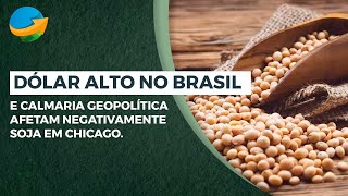 Dólar alto no Brasil e calmaria geopolítica afetam negativamente soja em Chicago [upl. by Anay518]