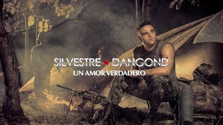 Un Amor Verdadero Silvestre Dangond amp Rolando Ochoa  Letra Oficial [upl. by Cavit]