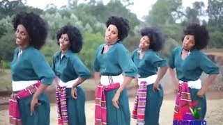 Best Ethiopian Traditional Music 2014 Solomon Demle  Mech Ayeshiwuna [upl. by Blunt]