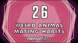 26 Weird Animal Mating Habits  mentalfloss on YouTube Ep 20 [upl. by Ecinnaj]