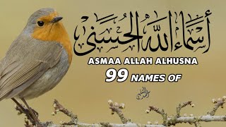 Ninety Nine names of Allah in best voice ¦ Asma ul Husna by ahmad alshalabi [upl. by Cocks]