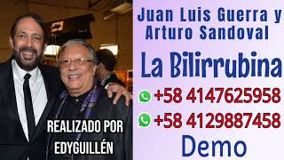 La Bilirrubina Demo Karaoke  Pista  Juan Luis Guerra y Arturo Sandoval Nueva versión [upl. by Eisenhart]