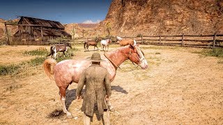 Best Tennessee Walker horse in RDR2 [upl. by Trish]