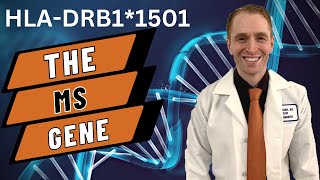 Neurologist Explains The Multiple Sclerosis Gene HLADRB11501 [upl. by Kohn403]