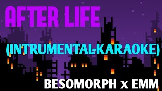 Afterlife x Besomorph EMM IntsrumentalKaraoke [upl. by Eirrab348]