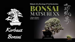 XX Bonsai Matsuri en el Jardín Japones 2024 [upl. by Elston256]