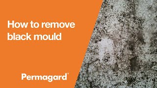 How to remove black mould on interior walls [upl. by Animar29]