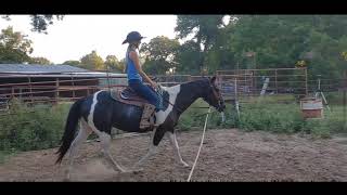 Sitting and rising trot riding exercises  Adult Western riding lesson [upl. by Delos]