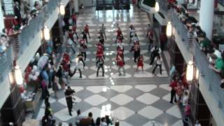 Flash Mob Dance at Ohio States Union May 3 2010 [upl. by Kedezihclem919]