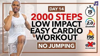 15 MIN Easy Step Cardio HIIT Workout Low Impact  2000 Steps Cardio  Day 14 [upl. by Trebmal]