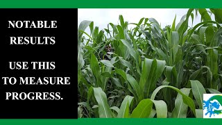 Complete Waxy Maize Starch Review Is It Worth It [upl. by Humpage]