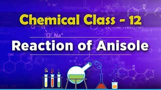 Reaction of Anisole  Alcohols Phenols and Ethers  Chemistry Class 12 [upl. by Oner]