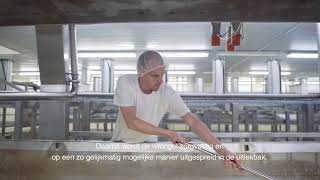 Les Fromages Trappistes de Chimay vidéo officielle en français [upl. by Quiteri]