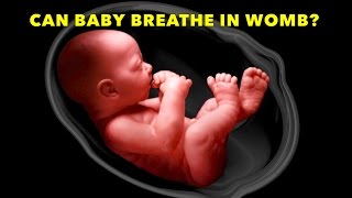 Baby Caught Breathing In Womb 37 Weeks amp After Birth Video  Can You See Baby Breathing In Belly [upl. by Aikar869]