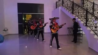 Las Mañanitas  Mariachi De Gala [upl. by Rodama]