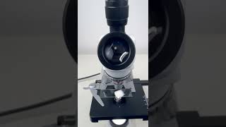 “Tadpole” magnified 400 times is surprisingshorts fyp science microscope shortsvideo [upl. by Magdaia837]