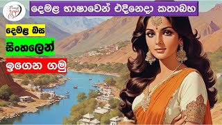 අපි දෙමළ කතා කරමු  මූලික පාඩම්  Lets Speak Tamil  Basic to Advanced Lessonsquot  Punchi Danuma [upl. by Toby]