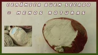 Increíble Recupera tu Planta con tan solo 1 Ingrediente [upl. by Monteith740]