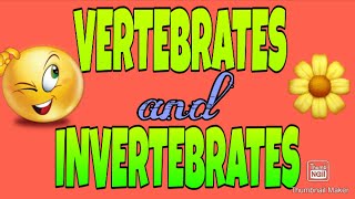 Vertebrates and Invertebrates [upl. by Sehguh102]